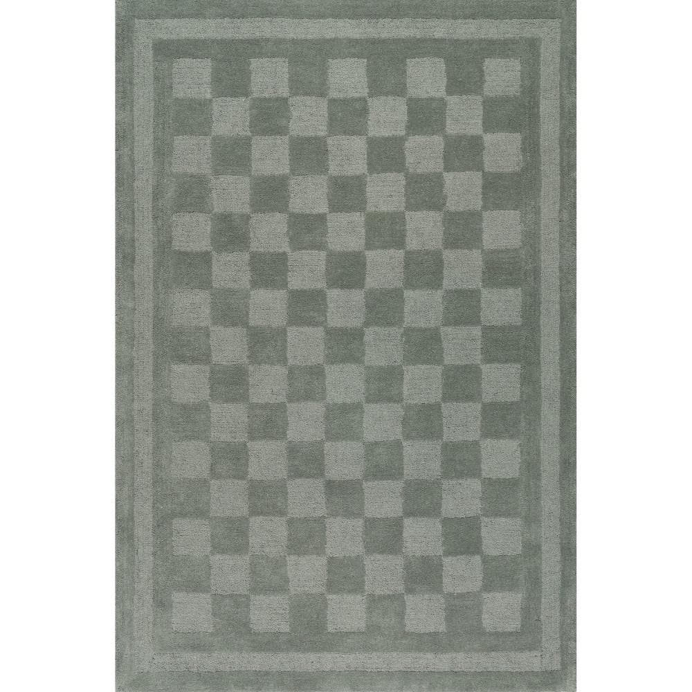 Robyn Wool Green 10 ft. x 14 ft. Indoor/Outdoor Patio Rug price history on PriceWatchPro
