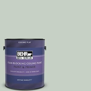 1 gal. #N400-2 Frosted Sage Ceiling Flat Interior Paint with Primer