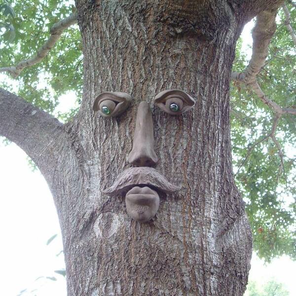 Genuine Tree Peeple Dagwood Tree Face