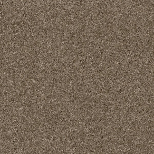 Jack Bay II - Landscape - Beige 65 oz. SD Polyester Texture Installed Carpet