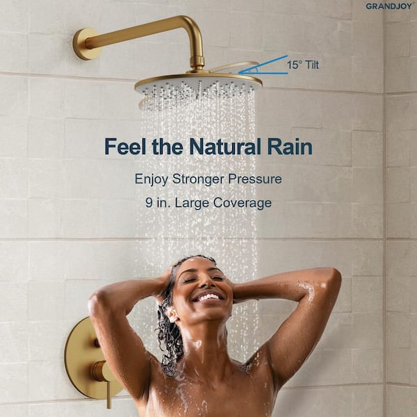 GRANDJOY 3-Spray Single-Handle Round Rain Dual Fixed Shower Head