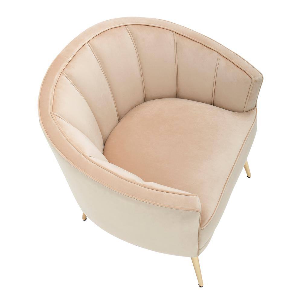 Champagne Velvet Barrel Accent Chair with Gold Metal Legs