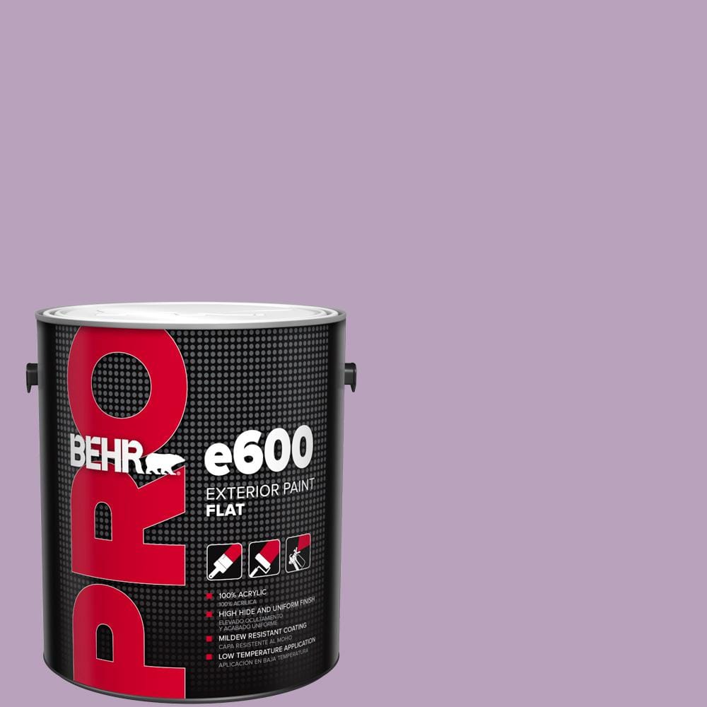 1 gal. #M100-3 Svelte Flat Exterior Paint price history on PriceWatchPro
