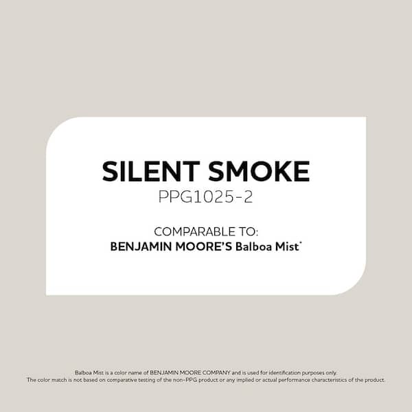 Silent Smoke PPG1025-2 Paint - Comparable to BENJAMIN MOORE'S Balboa Mist