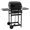 FEASTO 2-Burner Propane Gas Grill in Black B2BGS201