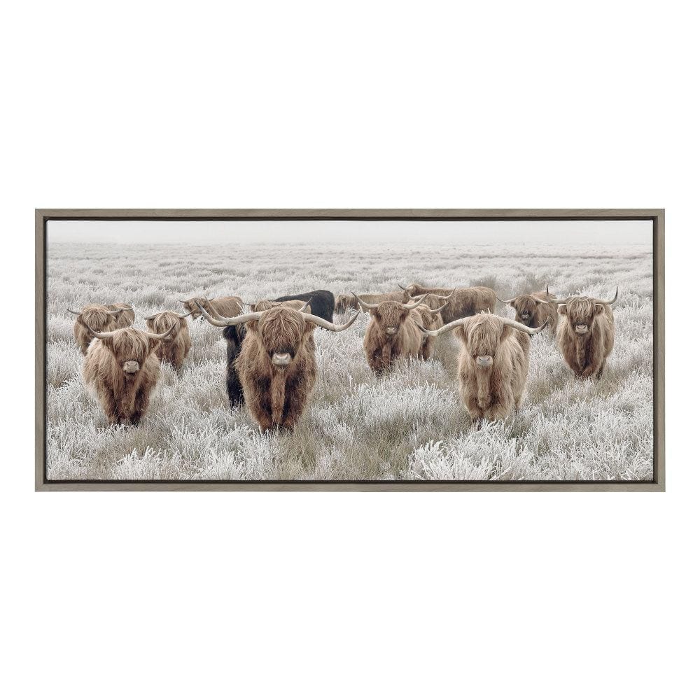 Herd of Highland Cows Gray Canvas Print with Polystyrene Frame
