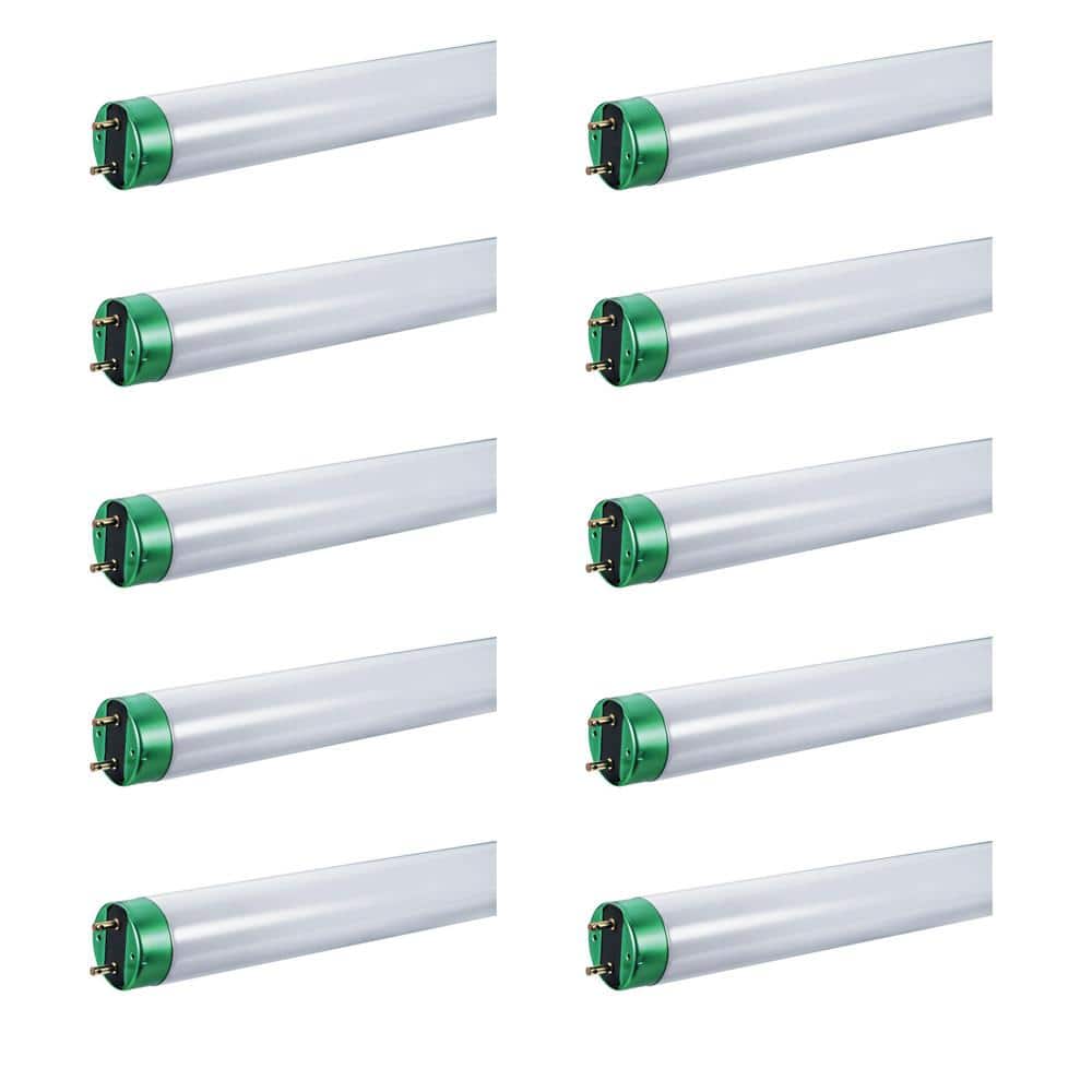 Alto 32-Watt 4 ft. Linear T8 Fluorescent Tube Light Bulb, Cool White (10-Pa
