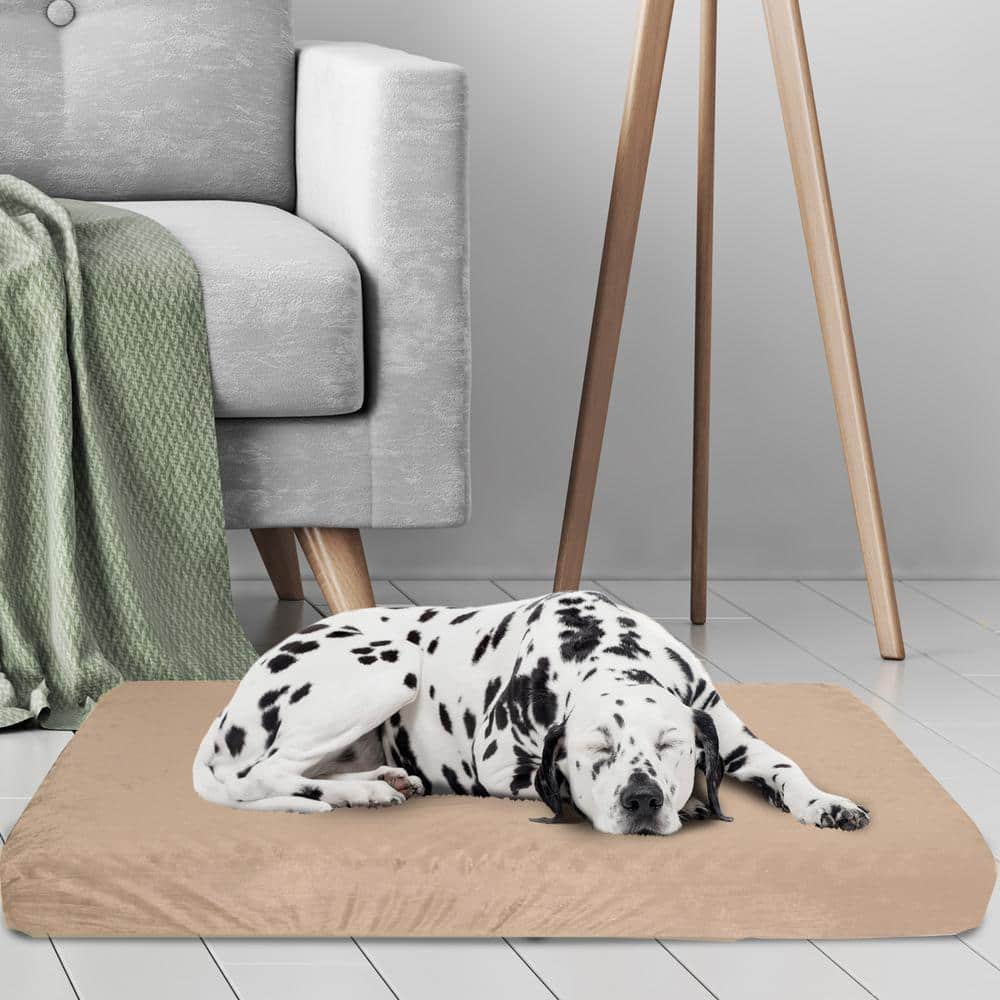 Extra Large Beige Orthopedic Memory Foam Dog Bed