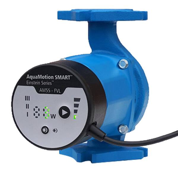 AquaMotion Cast Iron Variable Speed ECM Pump with 4-Bolt Flange and  Built-In Check Valve 70615 - The Home Depot