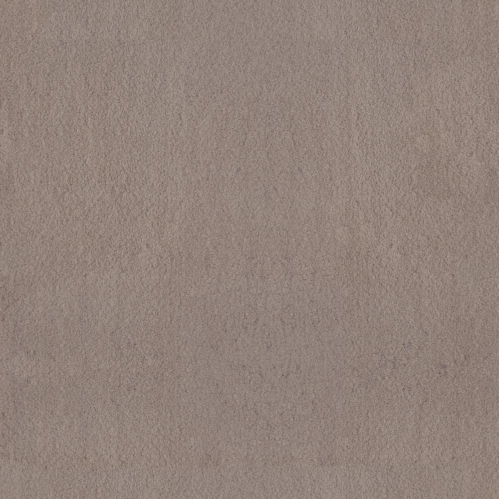 8 in. x 8 in. Texture Carpet Sample - Dreamy Daze II -Color Flora price history on PriceWatchPro