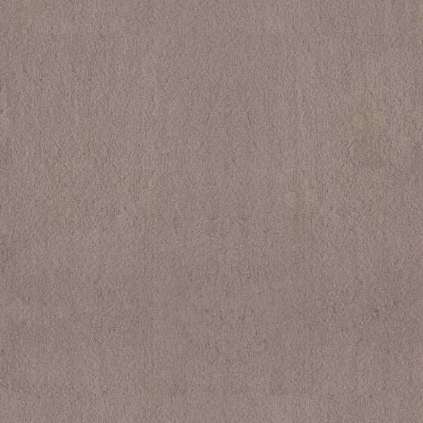 8 in. x 8 in. Texture Carpet Sample - Dreamy Daze I -Color Flora