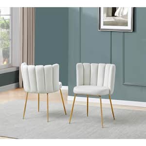 Elegante Beige Velvet Fabric Side Chairs (Set of 2)