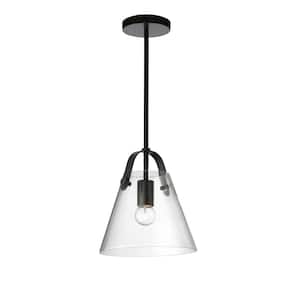 Polly 1-Light Matte Black Shaded Pendant Light with Clear Glass Shade