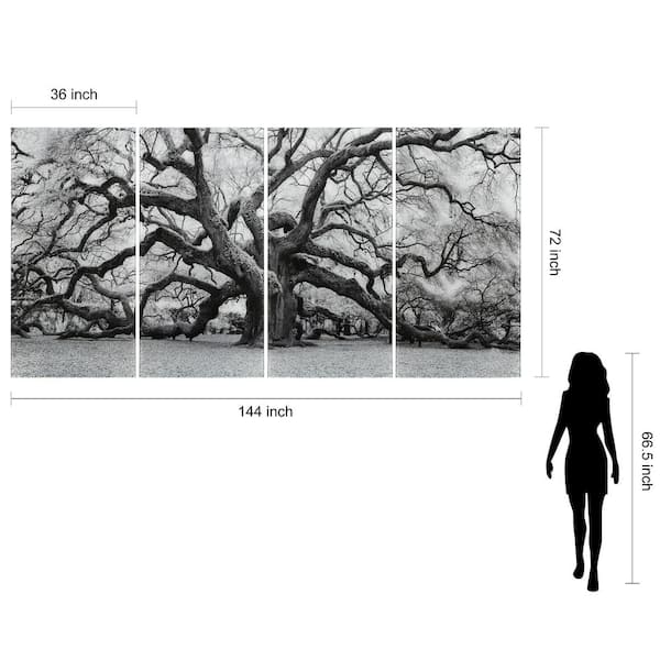 Empire Art Direct The Angel Oak ABCD Frameless Free Floating Tempered Glass  Panel Graphic Tree Wall Art Set of 4, each 72 in. x 36 in.  TMP-EAD5302ABCD-7236 - The Home Depot