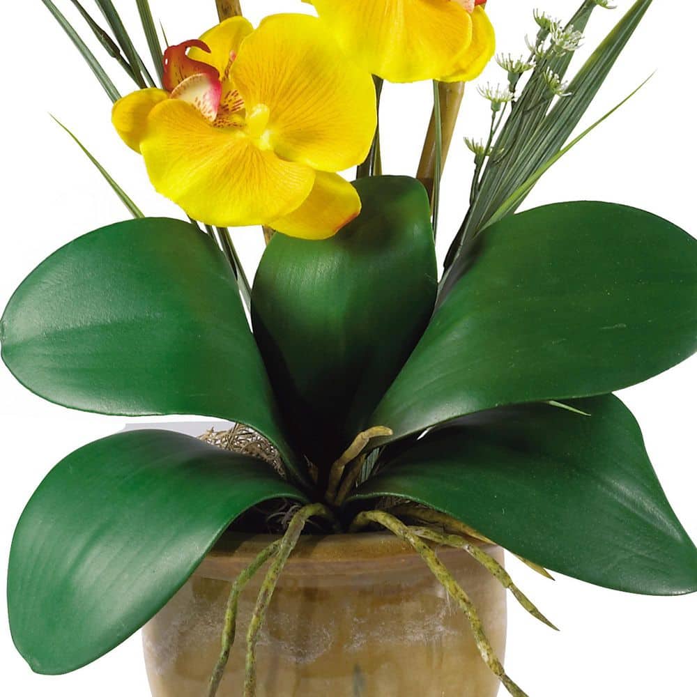 Yellow Phalaenopsis Silk Orchid in Ceramic Pot, 21" Tall