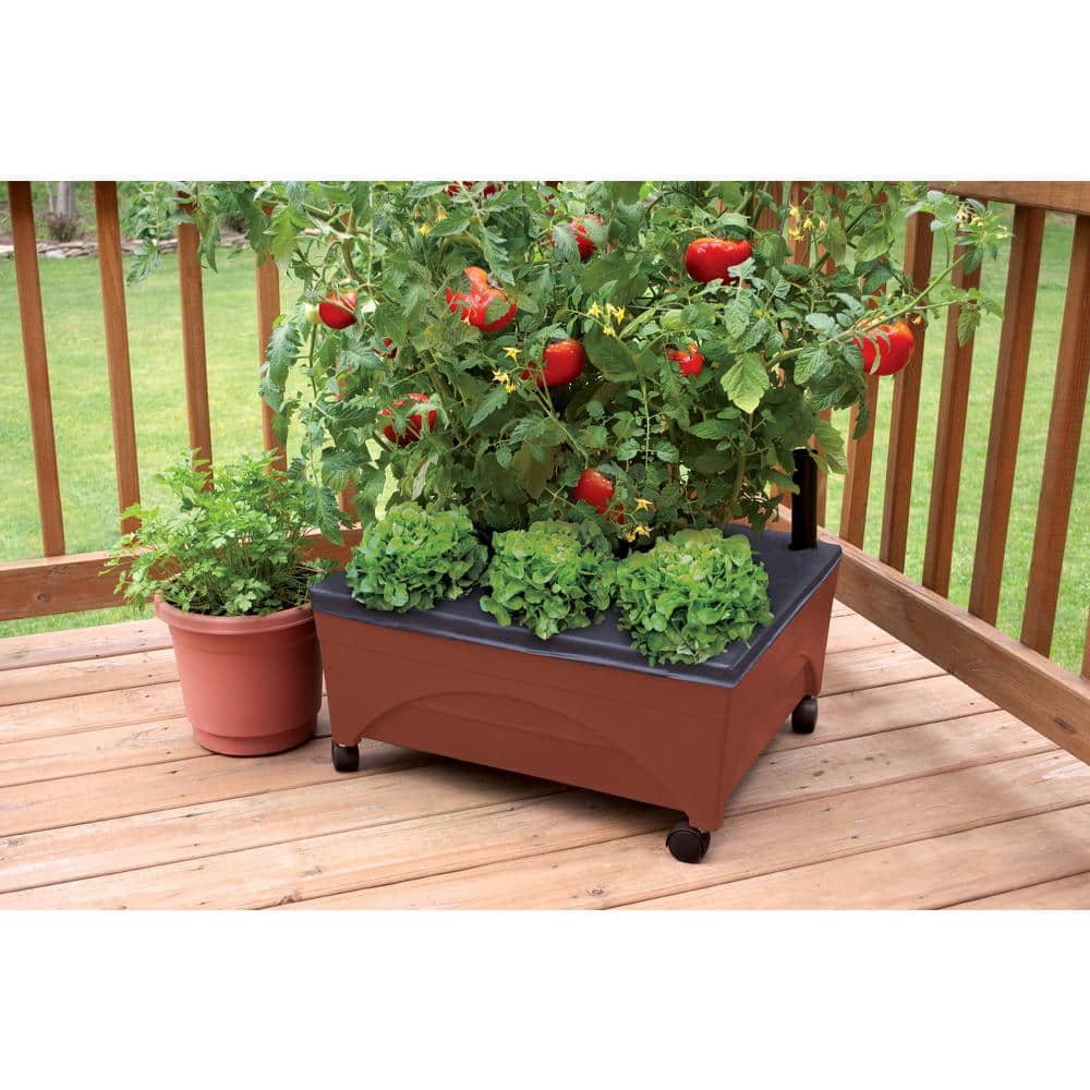 Terracotta Resin Elevated Garden Box with Casters