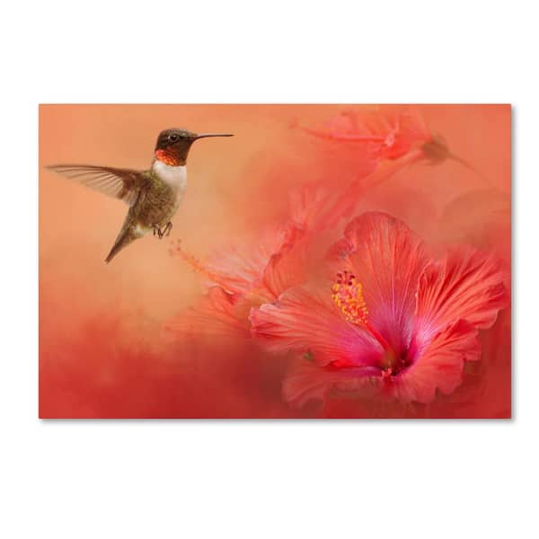 Trademark Fine Art Hummingbird and Peach Hibiscus by Jai Johnson Floater Frame Animal Wall Art 22 in. x 32 in.