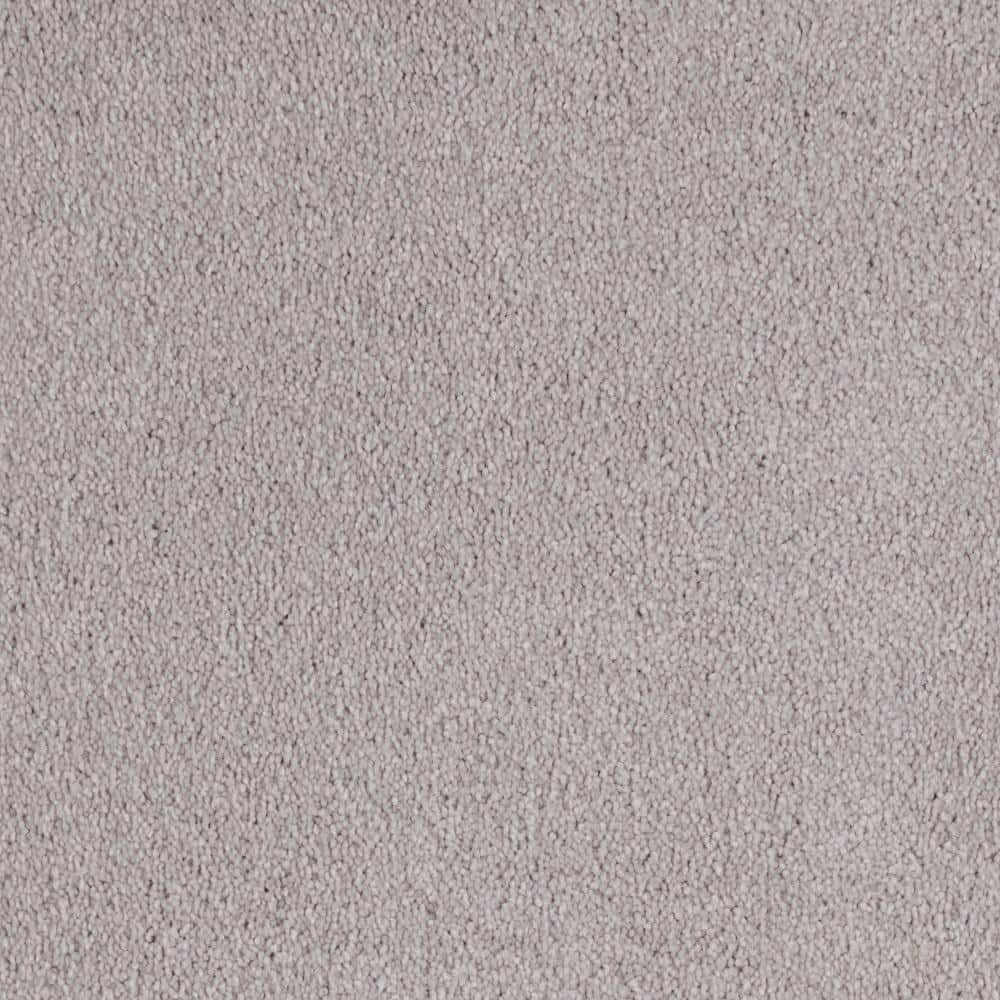 8 in. x 8 in. Texture Carpet Sample - Still In Love I -Color Couple price history on PriceWatchPro