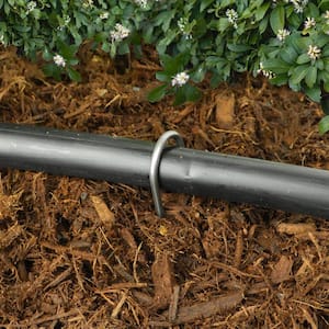 6 in. X 1 in. Galvanized Drip Irrigation Stakes (100-pack)