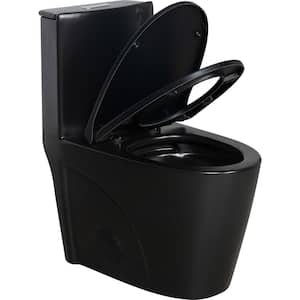 12 in. 1-Piece 1.1/1.6 GPF Water-Efficient Dual Flush Elongated Toilet in Black Soft Closing Seat Included