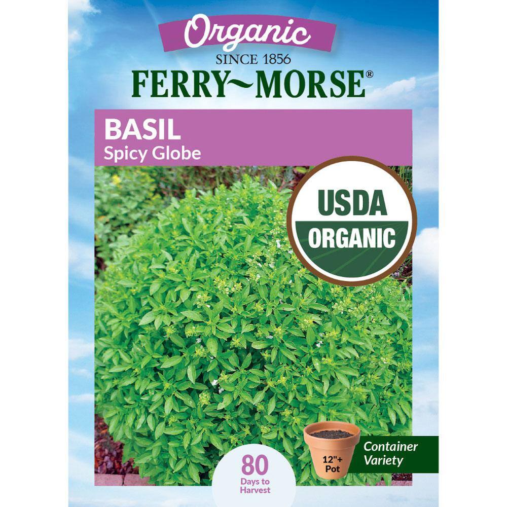 Everwilde Farms Organic Spicy Globe Basil Seeds – 1000 Heirloom Seeds, Non-GMO, Open Pollinated, Mylar Packet