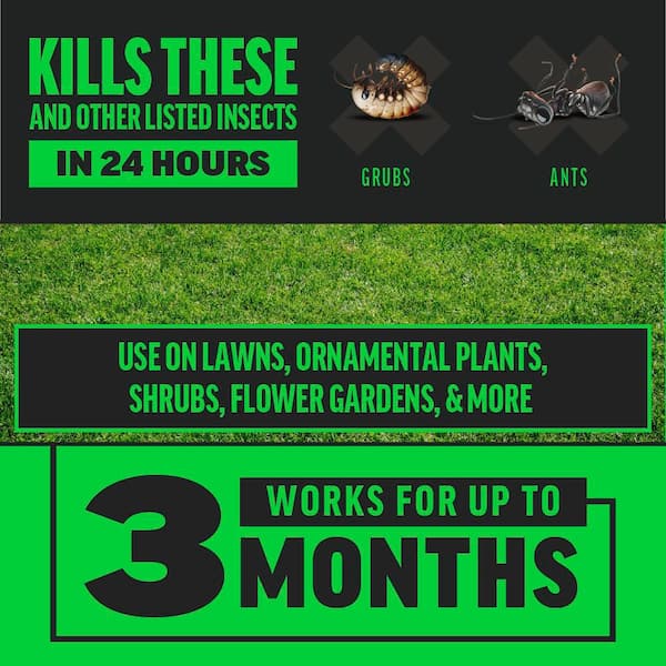 Quick Kill 32 oz. Outdoor Liquid Multi Insect Killer Concentrate for Lawns with 3-Month Control 2 Pack