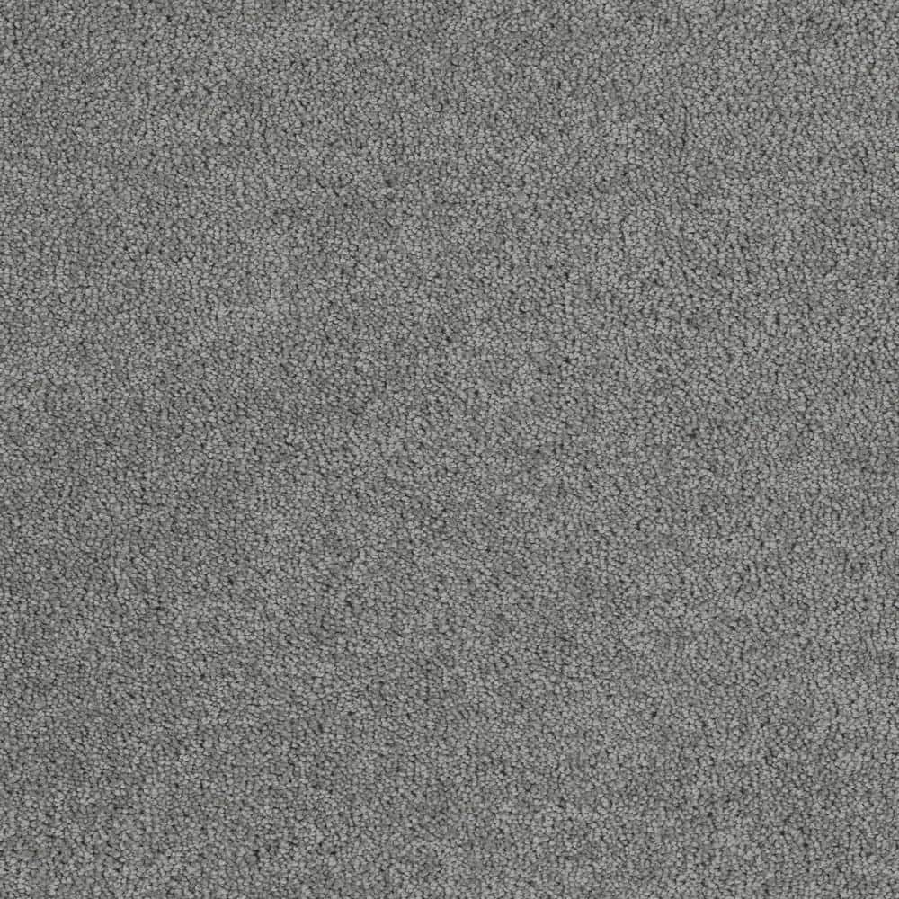 8 in. x  8 in. Texture Carpet Sample - Moonlight -Color Reflection price history on PriceWatchPro