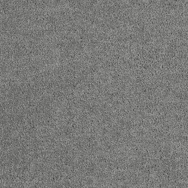 Home Decorators Collection Moonlight  - Reflection - Gray 32 oz. SD Polyester Texture Installed Carpet