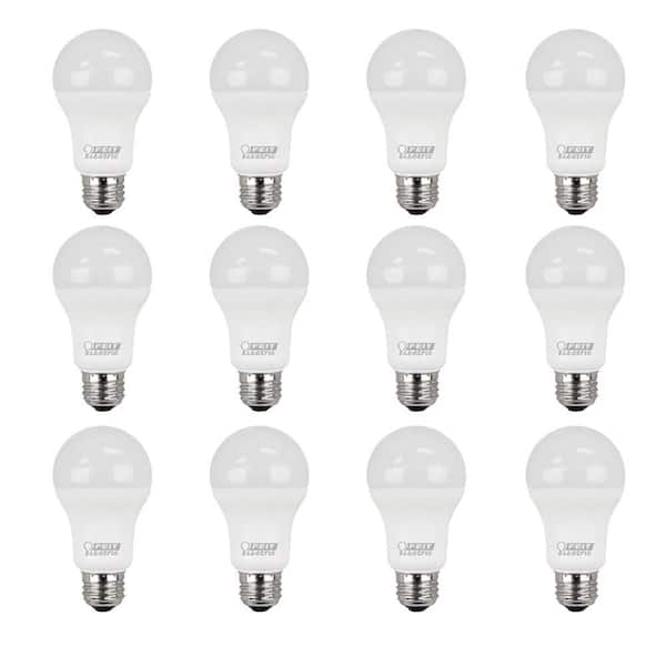 Feit Electric 100W Equivalent Daylight (5000K) A19 LED Light Bulb (Case of 12)