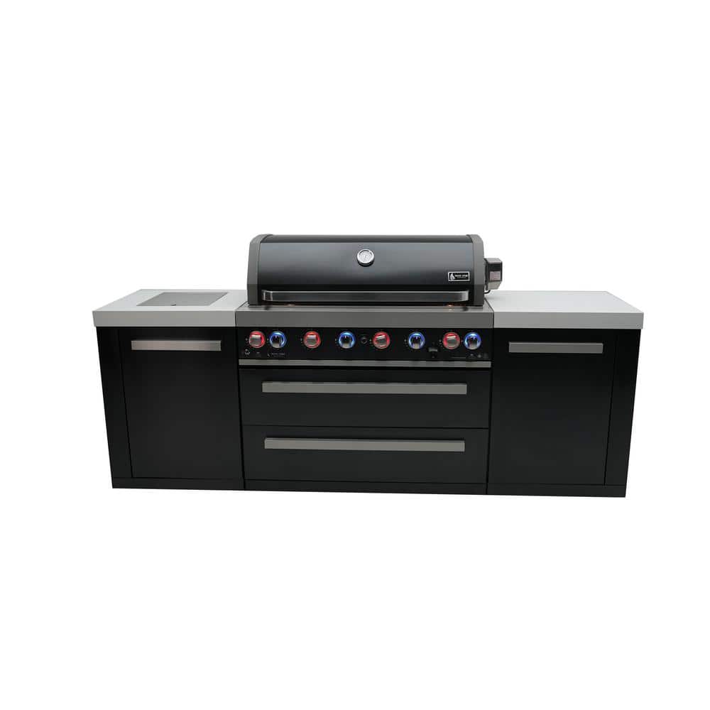 Black Series 6 Burner Modular Outdoor Kitchen with Storage Propane Natural Gas Grill Island in Black Stainless Steel price history on PriceWatchPro