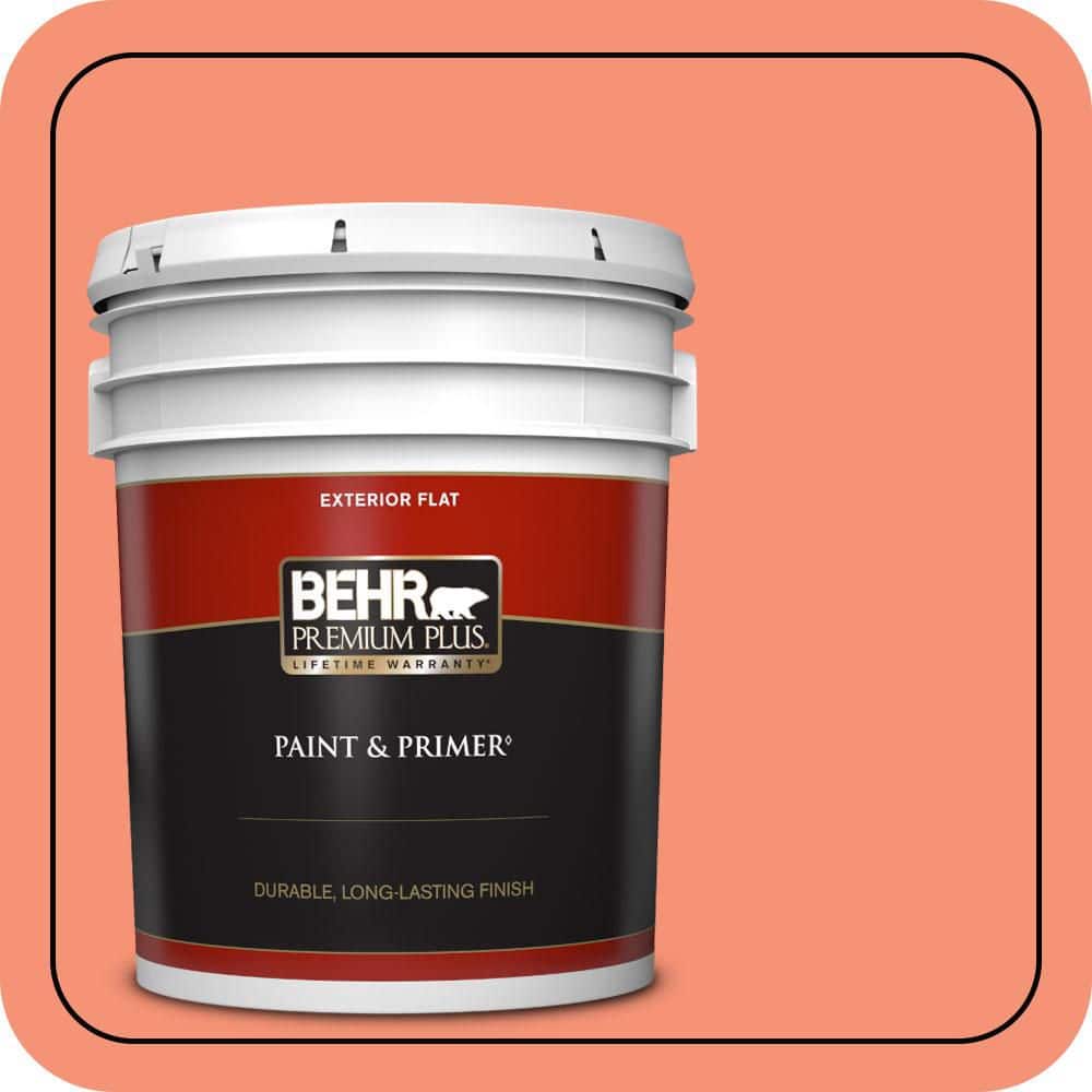 5 gal. #200B-5 Indian Dance Flat Exterior Paint & Primer price history on PriceWatchPro