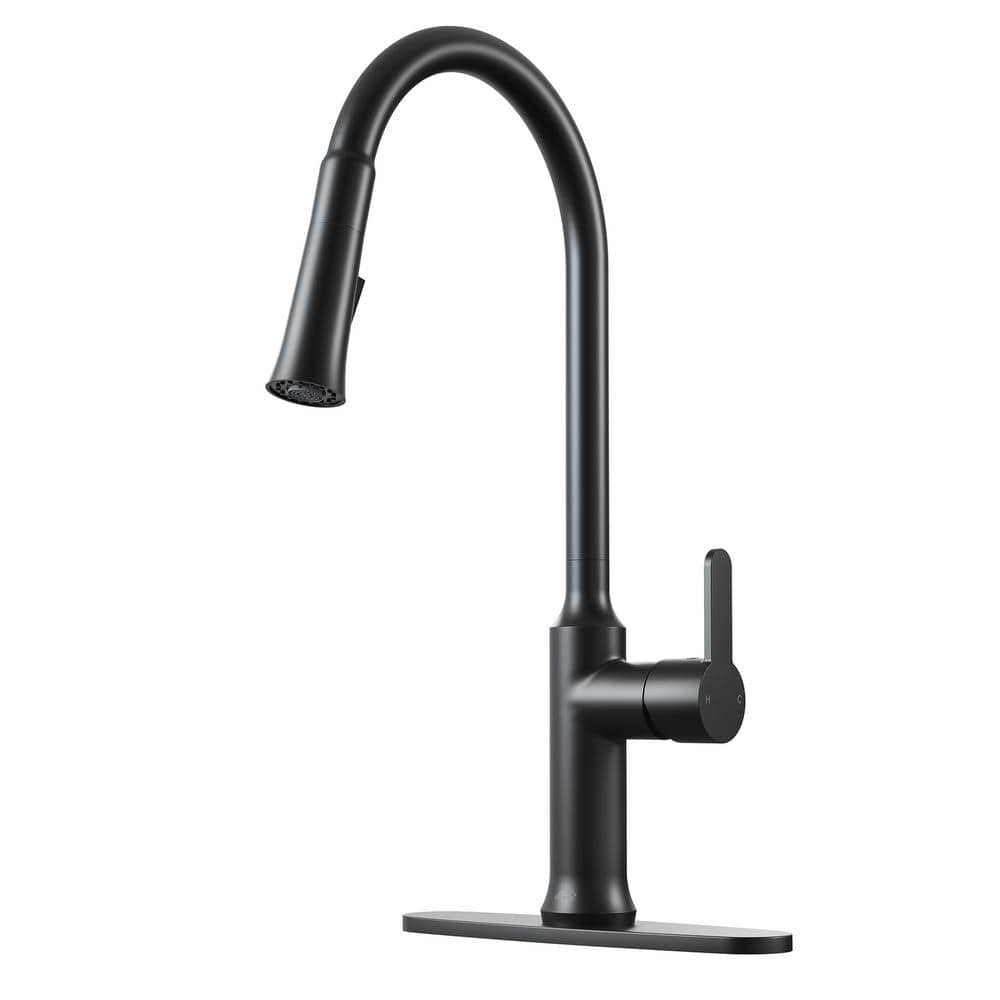 CASAINC Single Handle Pull Down Sprayer Kitchen Faucet with Dual ...