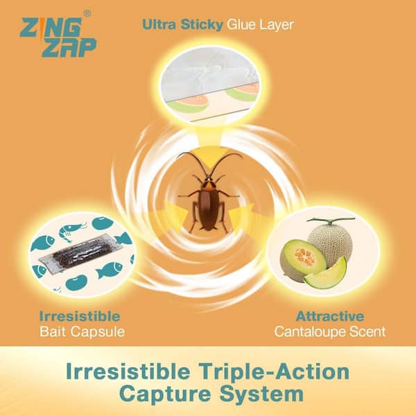 ZINGZAP Roach Glue Trap Cantaloupe Scent, Natural Bait Capsule