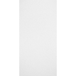 Fine Fissured 2 ft. x 4 ft. Lay-in Ceiling Tile (1,152 sq. ft./Pallet)