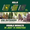ortho-weed-grass-killer-461326405-e1.1