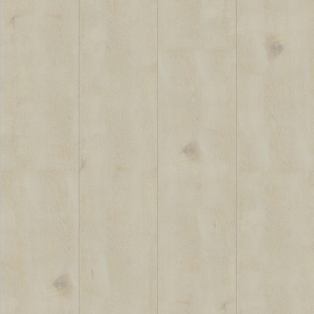 Take Home Sample - EverLux XXL 8.75 in. W x 12 in. L Sidewinder Sand Click Lock Luxury Vinyl Plank Flooring price history on PriceWatchPro