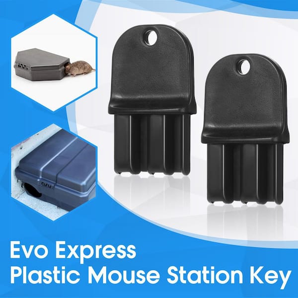 小物 RATS KEYCASE Rat-Themed Themed Mechanical Keychain with a LED-Lit Clicky Switch