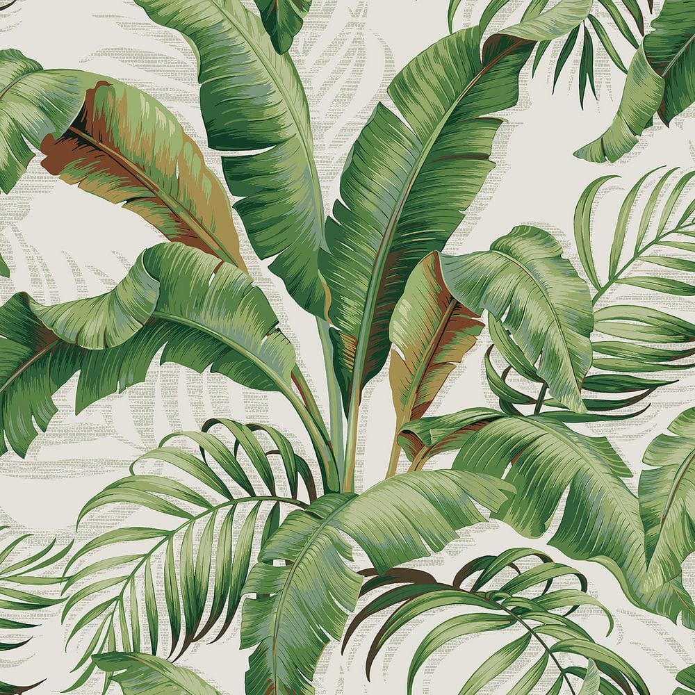 Tommy Bahama Home PALMIERS ALOE 802802WR Peel and Stick Wallpaper