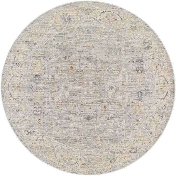 Avant Garde Brown Traditional Distressed 7 X 7 Area Rug