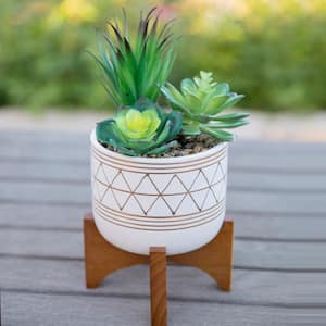 Mid-Century 5 in. White/Gold Line Ceramic Geometric Pot with Wood Stand Planter