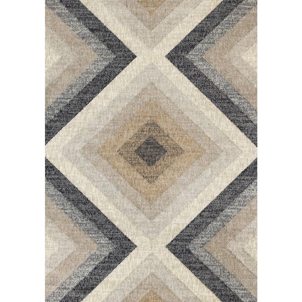 Beige 5 ft. x 8 ft. Woven Geometric Rectangle Indoor Area Rug