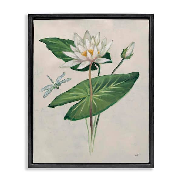 Stupell Industries Graceful Lily Pad by Julia Purinton Black Floater Frame Nature Graphic Art Print 21 in. x 17 in.