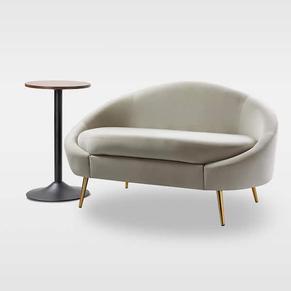 JAYDEN CREATION God 2-Piece Tan Modern Velvet Living Room Set with Metal Legs and Curved Design