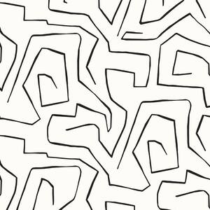 56 sq. ft. Black and White Abstract Maze Unpasted Wallpaper