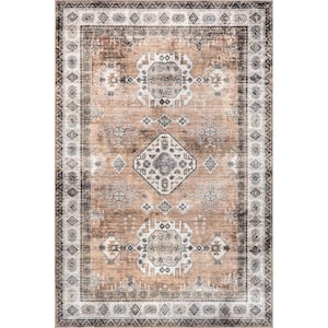 Evelina Traditional Spill-Proof Machine Washable Rust 2 ft. x 3 ft. Accent Rug