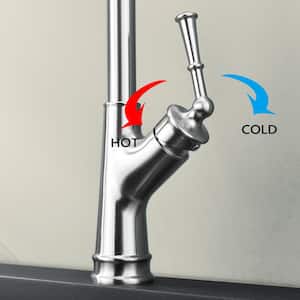 Single-Handle High Arc Pull Out Sprayer Kitchen Faucet in Chrome