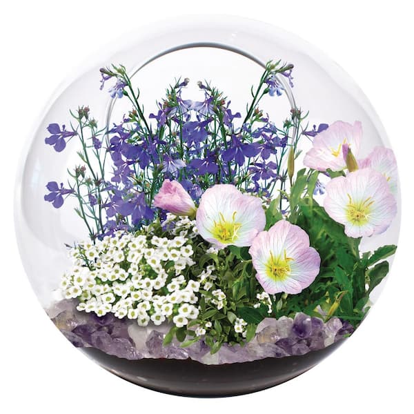 UNIQUE GARDENER Classic Glass Clear Glass Mini Fairy Triad Indoor Garden Terrarium Indoor Garden Seed Starter Kit