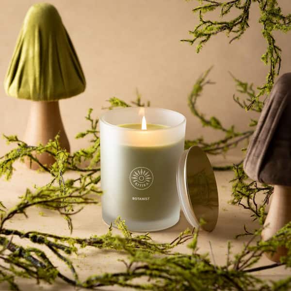 Vance Kitira Botanist Pear and Citrus Scented Single Wick Green Jar Candle, 80-Hour Burn Time