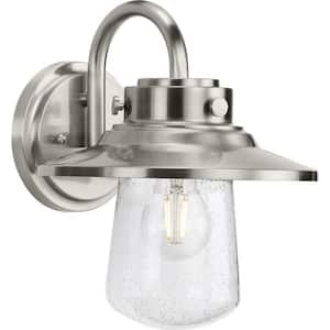 Tremont 1-Light Stainless Steel Clear Seeded Glass Industrial Outdoor Medium Wall Lantern Light