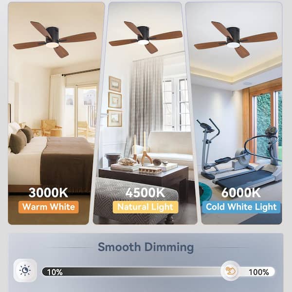 46 in. Indoor/Outdoor Integrated LED Matte Black Ceiling Fan with Light Kit and Smart App Control and Remote Control